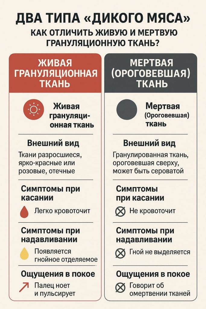 сравнение живого и мертвого дикого мяса